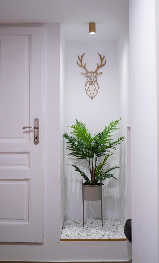 Coban Residence - A3 - Scandinavian Apartment 브라쇼브 외부 사진